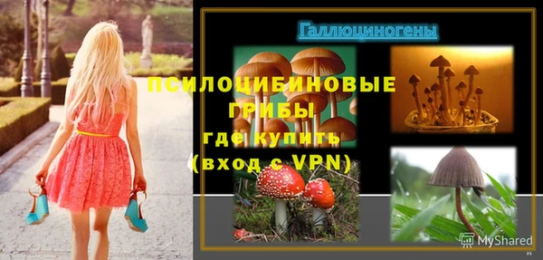 ECSTASY Алексеевка