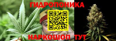 индика Старая Купавна