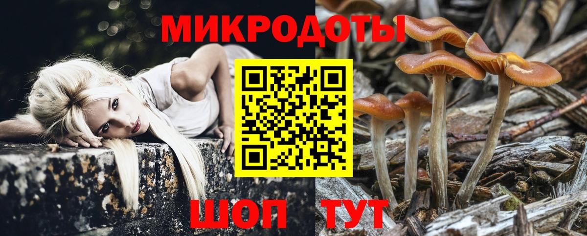 Псилоцибиновые грибы GOLDEN TEACHER Сатка