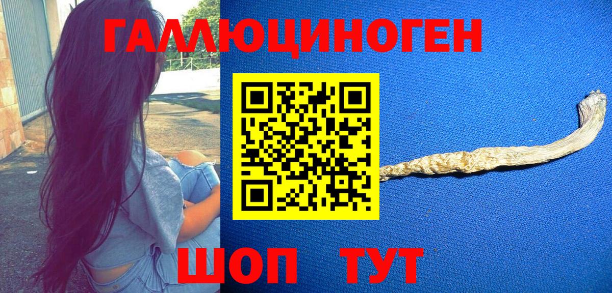 Псилоцибиновые грибы Psilocybine cubensis  Вход с VPN  Сатка 